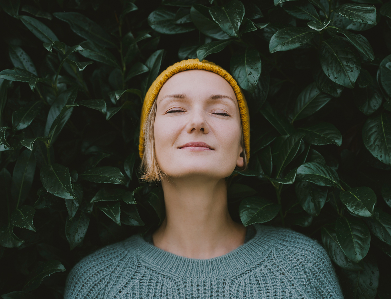 Nachhaltigkeit Leben Wohnen Im Taunus